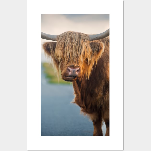 Highland Cow Wall Art by David Lichtneker